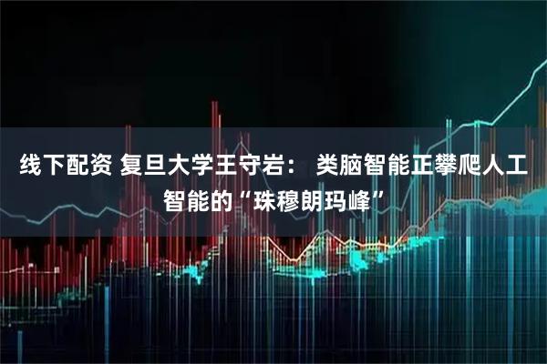 线下配资 复旦大学王守岩： 类脑智能正攀爬人工智能的“珠穆朗玛峰”